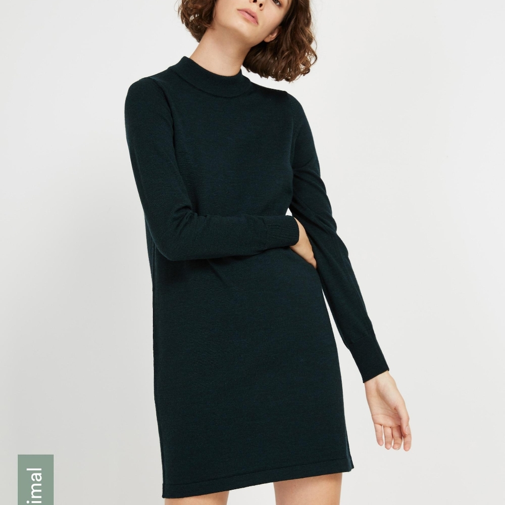 Frank and Oak Wool Dress
